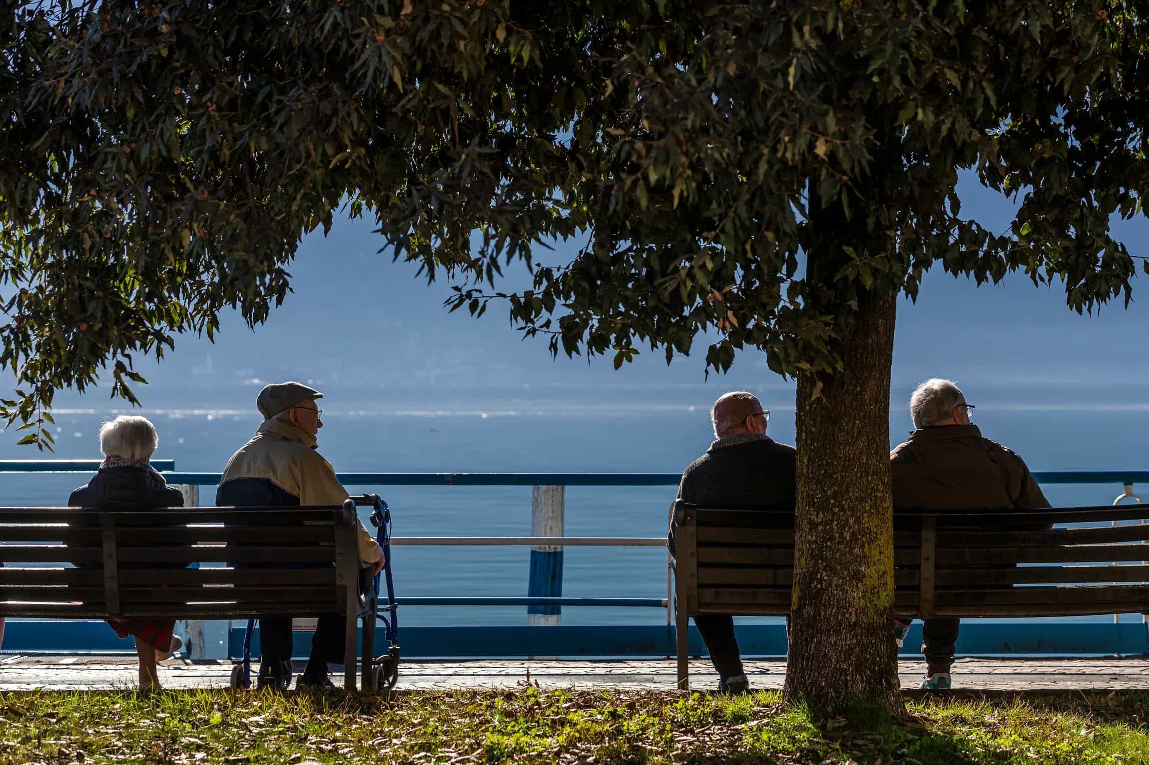 diventa-amico-della-fondazione-martinoli-newsletter