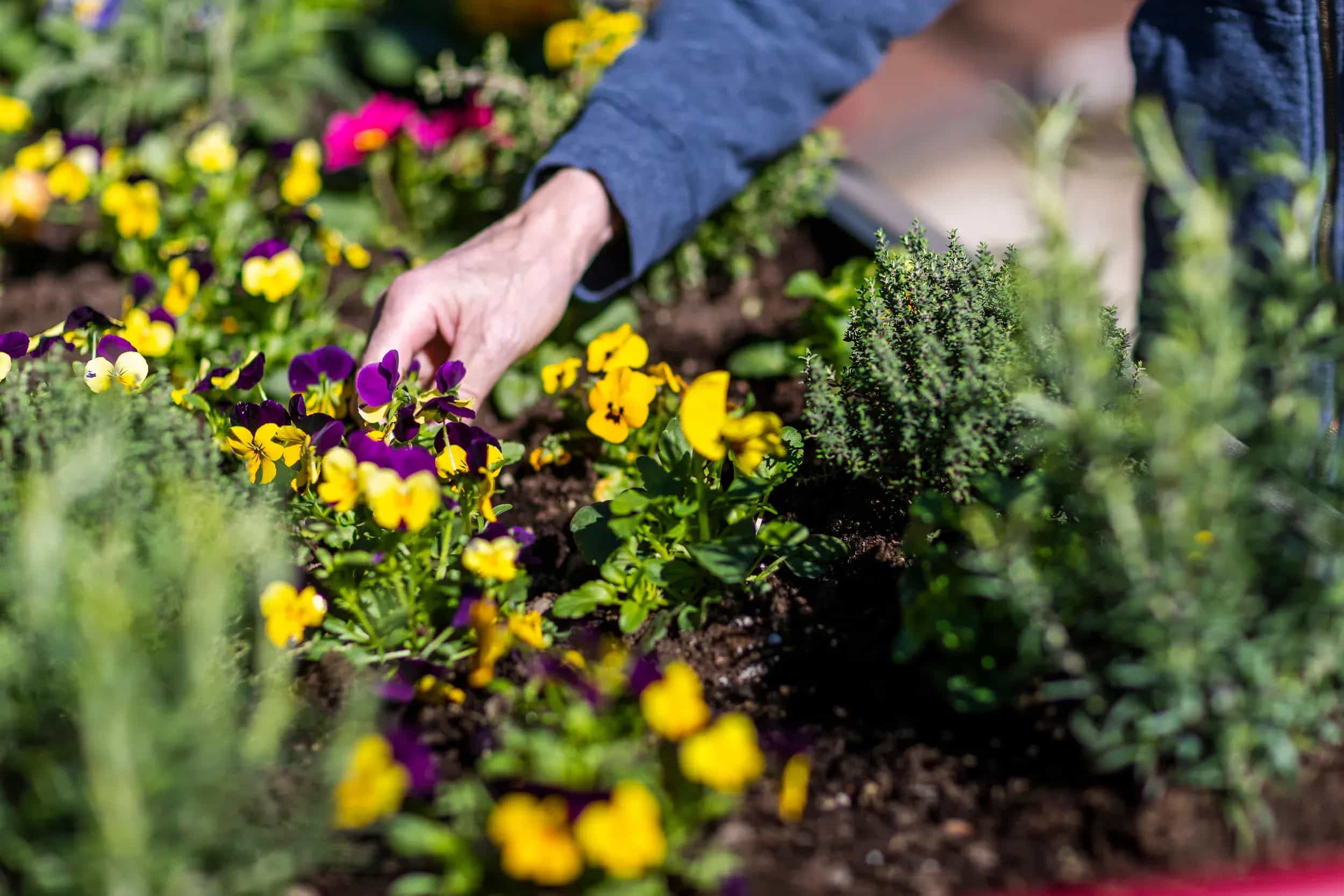 sostieni-fondazione-martinoli